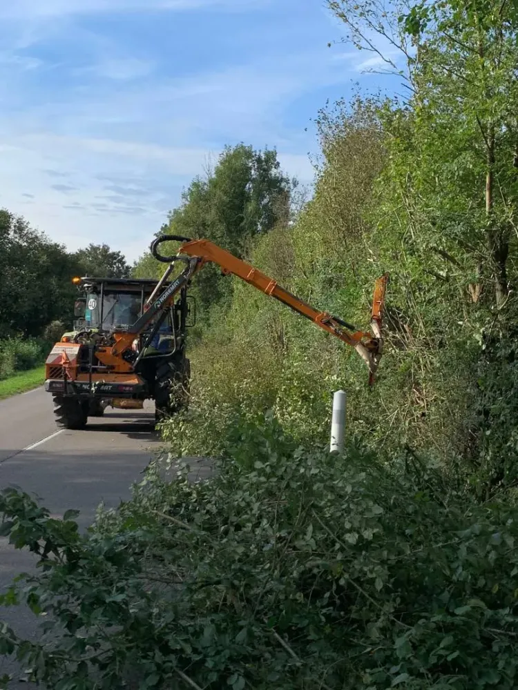 élagage le long d'une routewebp