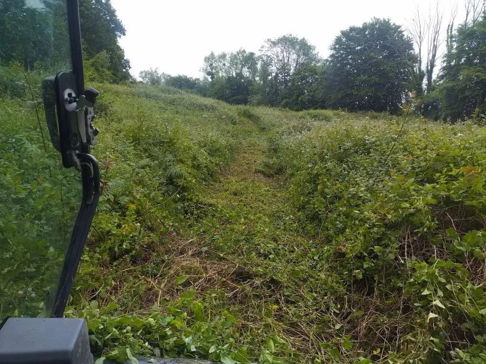 Débroussaillage de terrain près de Moyaux 