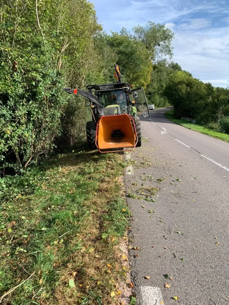 Elagage le long d'une route