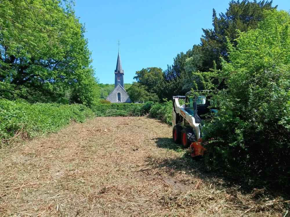 Débroussaillage de terrain